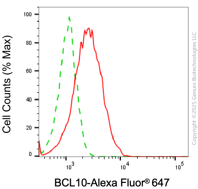 KD-Validated Anti-BCL10 Mouse Monoclonal Antibody ABG1788