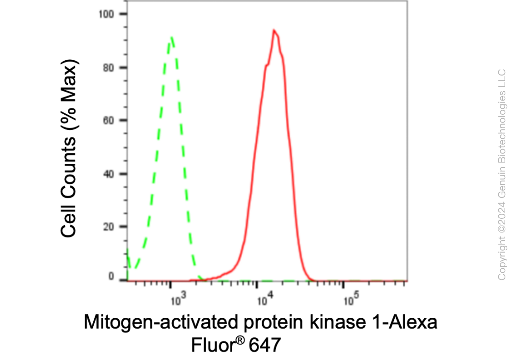 KD-Validated Anti-Mitogen-Activated Protein Kinase 1 Rabbit Monoclonal Antibody ABG1792