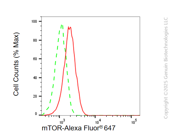 KD-Validated Anti-MTOR Rabbit Monoclonal Antibody ABG1793