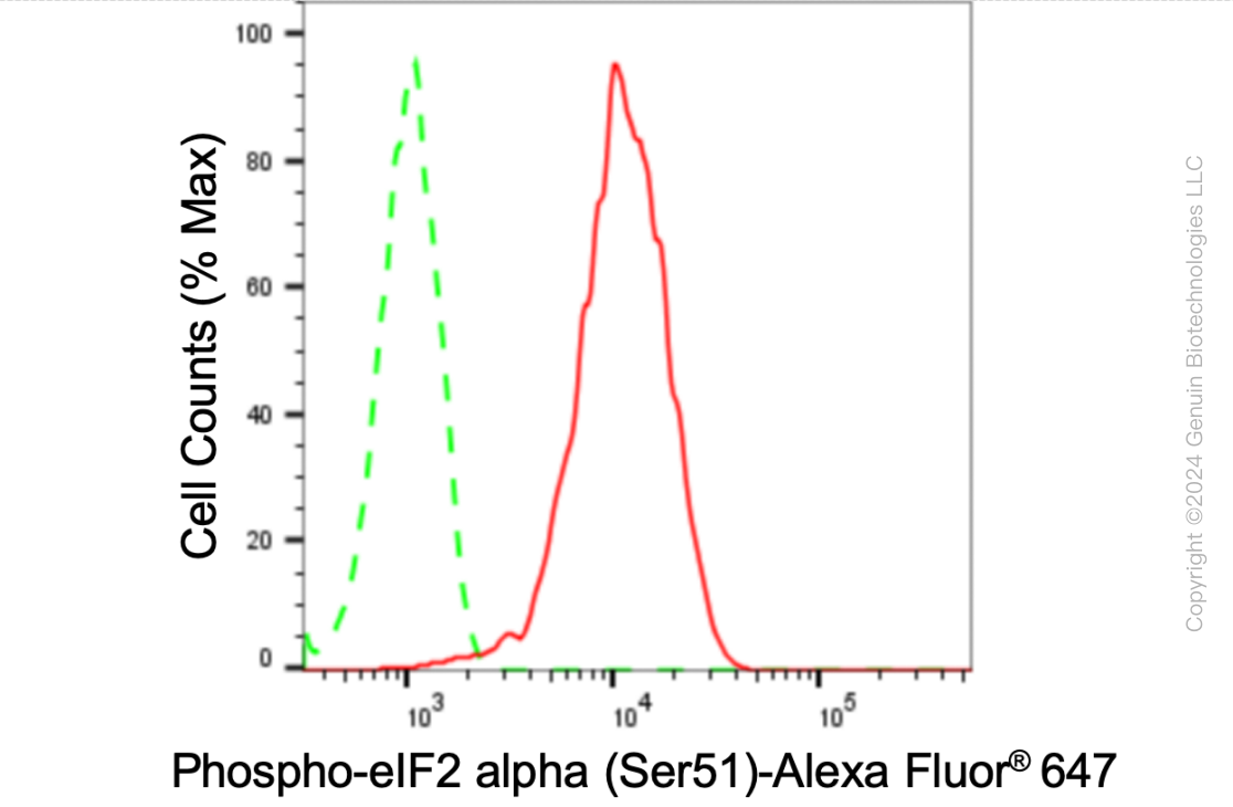 KD-Validated Anti-Phospho-eIF2 alpha (Ser51) Rabbit Monoclonal Antibody ABG1795