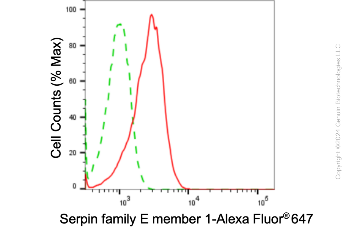 KD-Validated Anti-Serpin Family E Member 1 Rabbit Monoclonal Antibody ABG1796