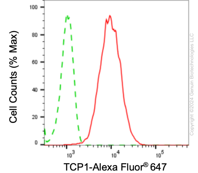 KD-Validated Anti-T-Complex 1 Rabbit Monoclonal Antibody ABG1797