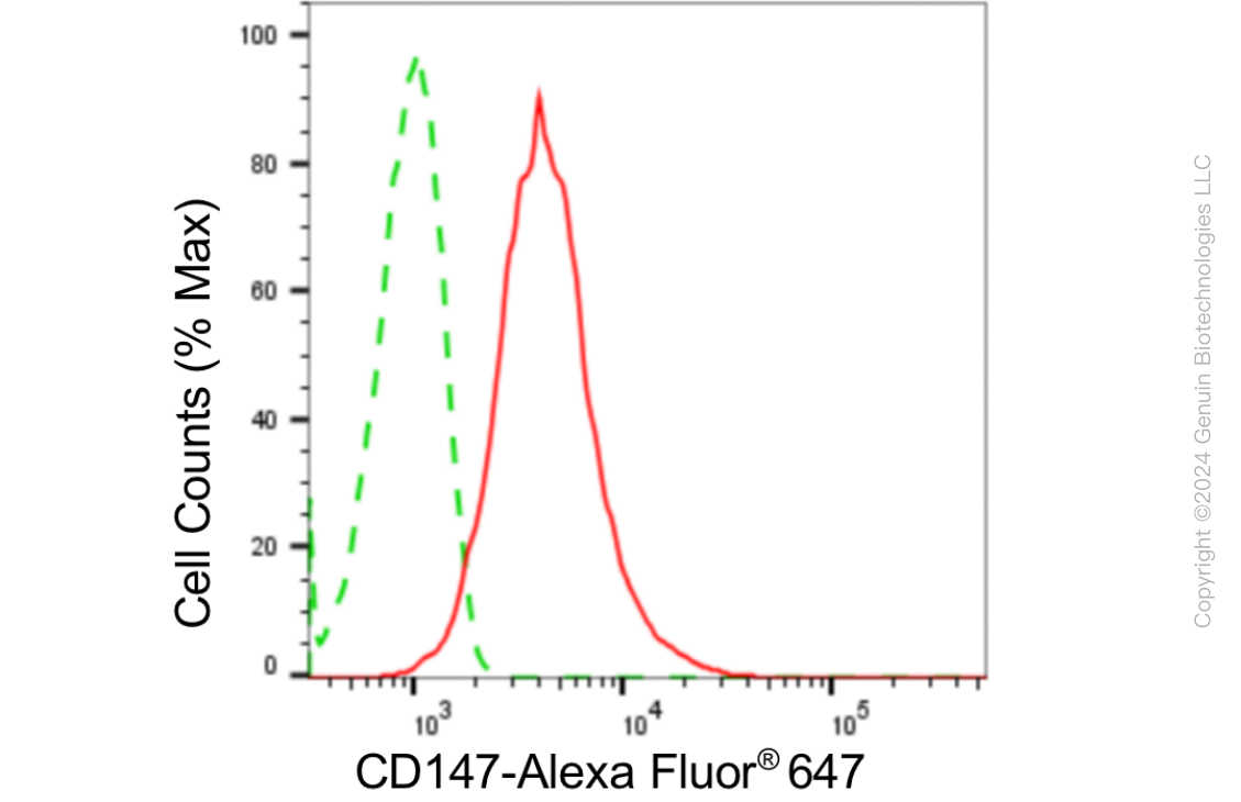 KD-Validated Anti-Basigin Rabbit Monoclonal Antibody ABG1799