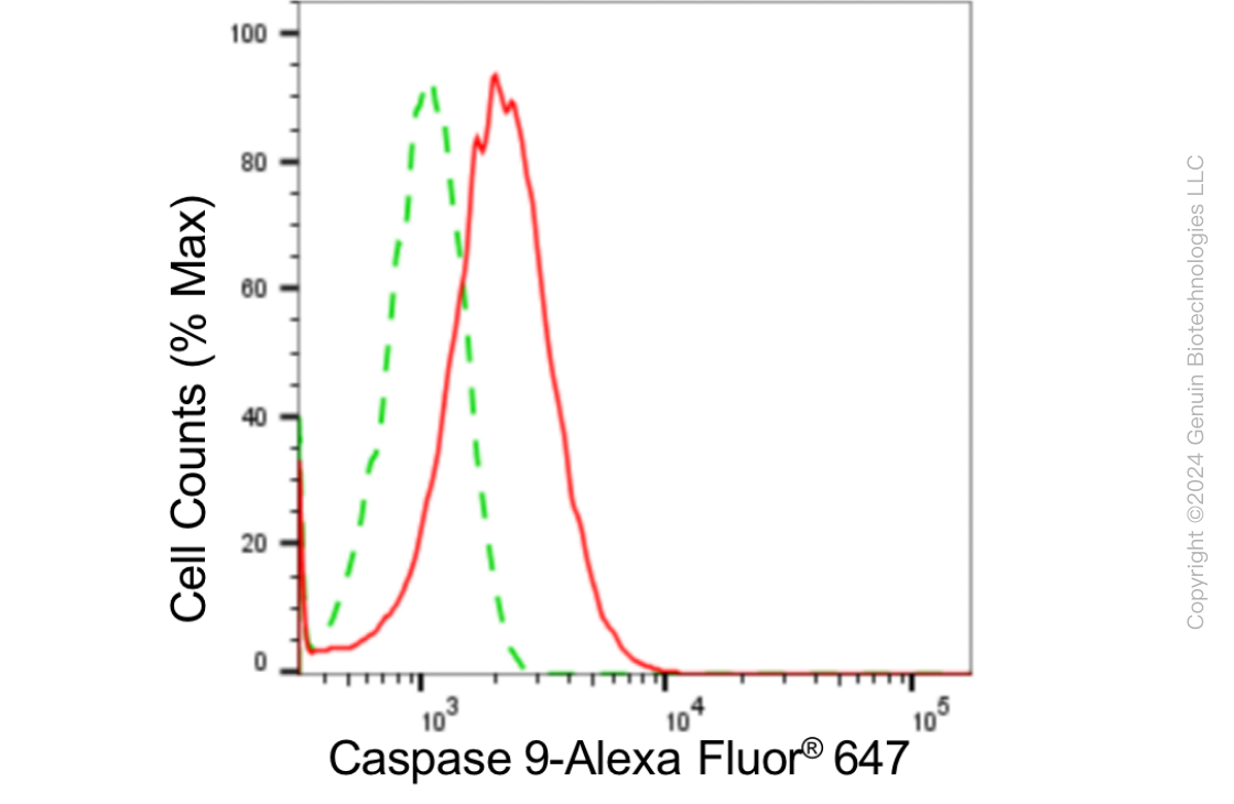 KD-Validated Anti-Caspase 9 Rabbit Monoclonal Antibody ABG1800