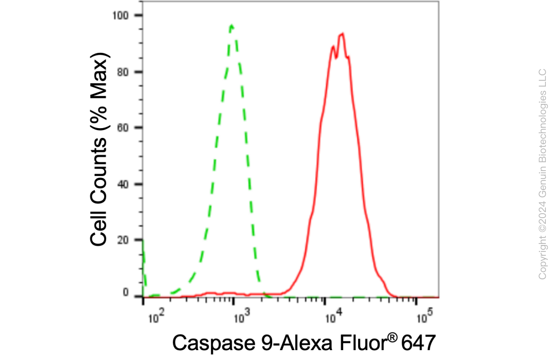 KD-Validated Anti-Caspase 9 Rabbit Monoclonal Antibody ABG1801