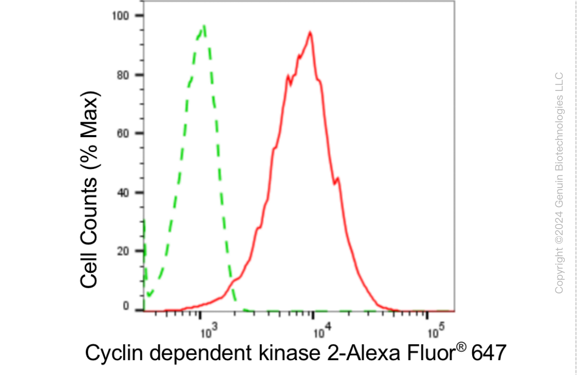 KD-Validated Anti-Cyclin Dependent Kinase 2 Rabbit Monoclonal Antibody ABG1807