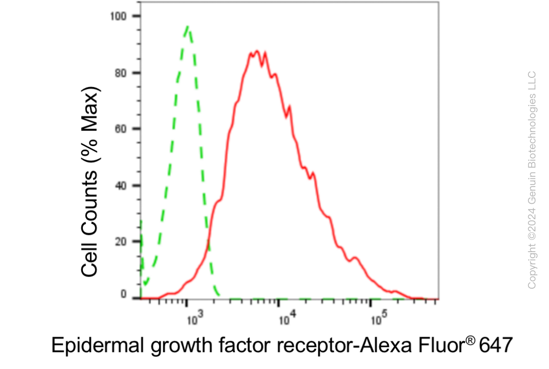 KD-Validated Anti-Epidermal Growth Factor Receptor Rabbit Monoclonal Antibody ABG1812