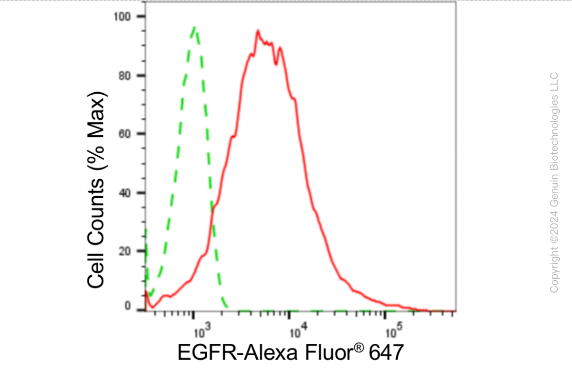 KD-Validated Anti-Epidermal Growth Factor Receptor Rabbit Monoclonal Antibody ABG1813