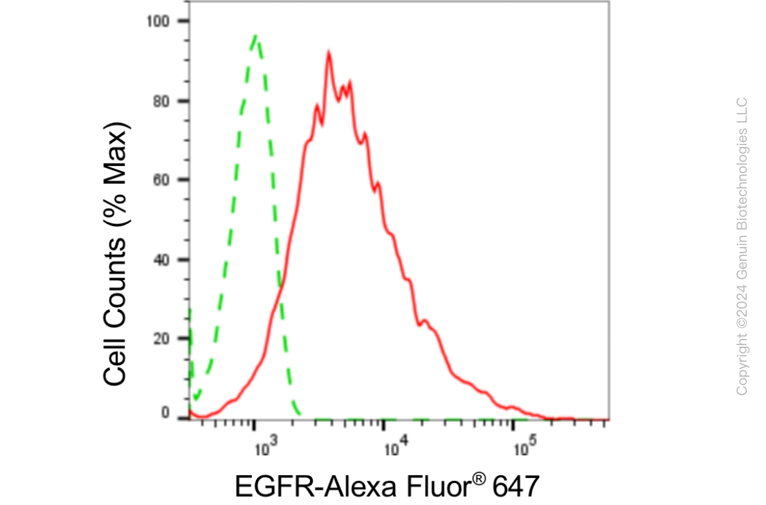 KD-Validated Anti-Epidermal Growth Factor Receptor Rabbit Monoclonal Antibody ABG1814