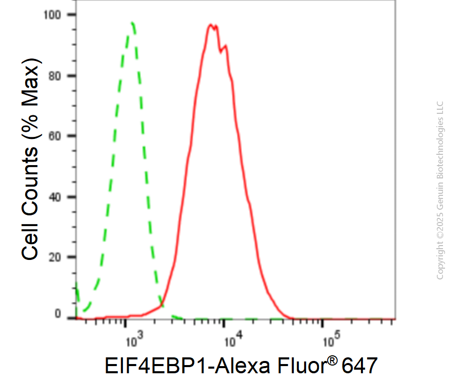 KD-Validated Anti-EIF4EBP1 Rabbit Monoclonal Antibody ABG1816