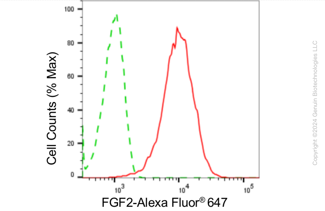 KD-Validated Anti-Fibroblast Growth Factor 2 Rabbit Monoclonal Antibody ABG1817
