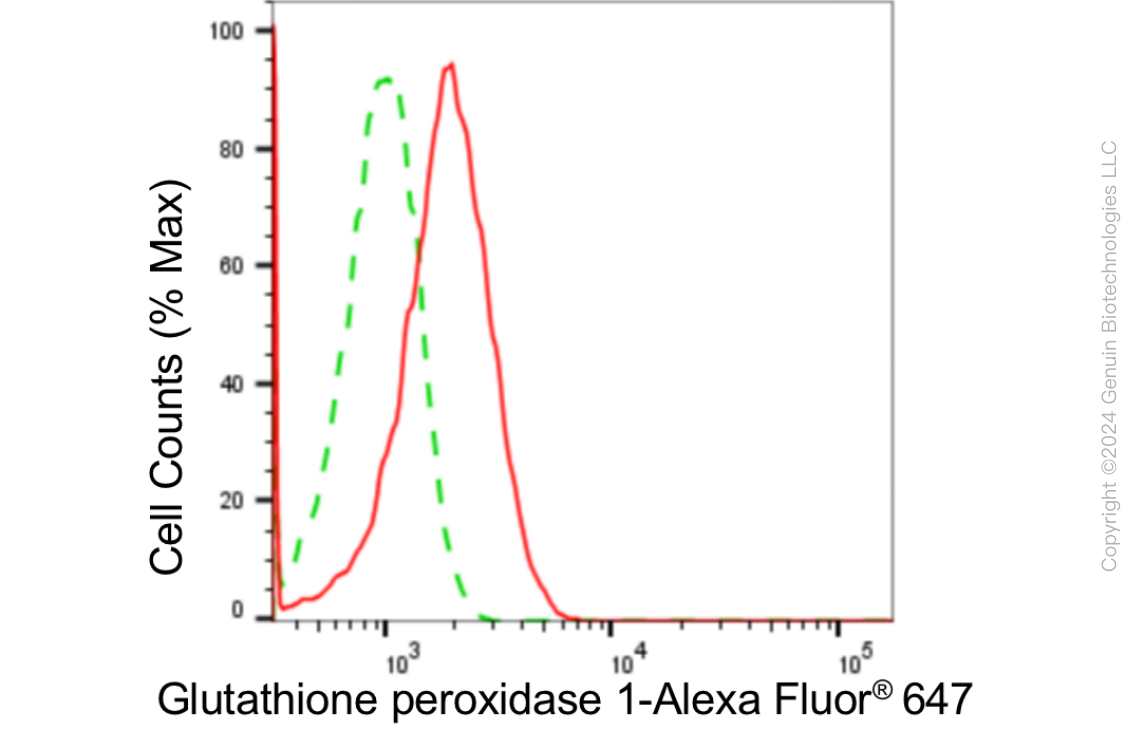 KD-Validated Anti-Glutathione Peroxidase 1 Rabbit Monoclonal Antibody ABG1818