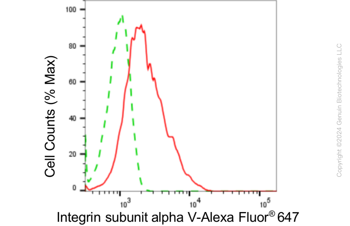 KD-Validated Anti-Integrin alpha V Rabbit Monoclonal Antibody ABG1819