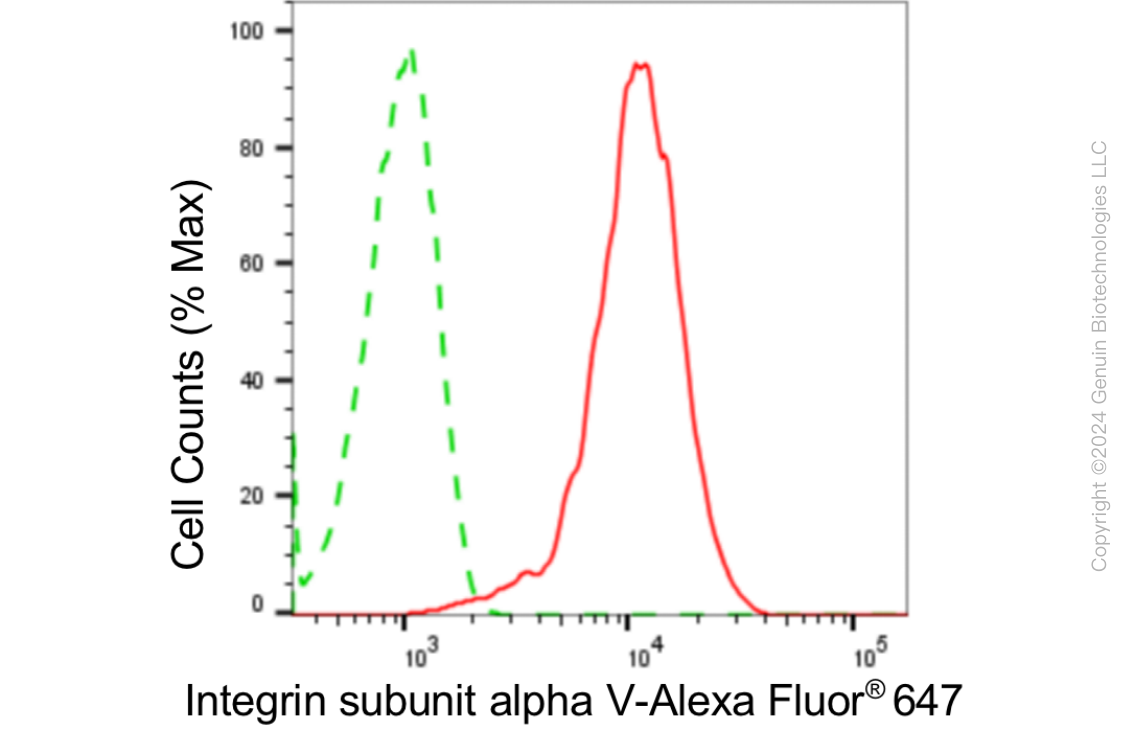 KD-Validated Anti-Integrin alpha V Rabbit Monoclonal Antibody ABG1820