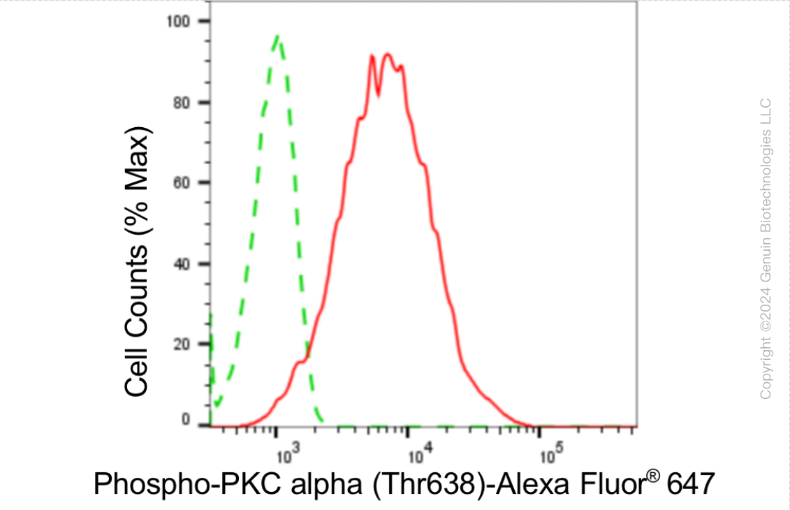 KD-Validated Anti-Phospho-PKC alpha (Thr638) Rabbit Monoclonal Antibody ABG1821