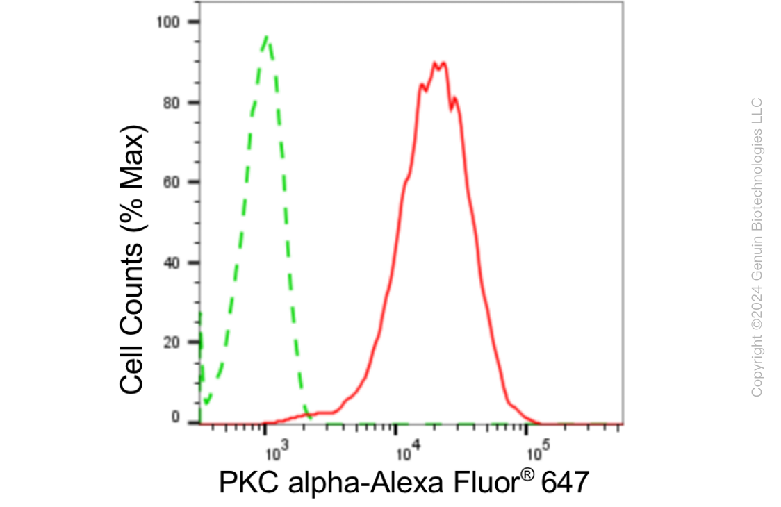 KD-Validated Anti-Protein Kinase C Alpha Rabbit Monoclonal Antibody ABG1822