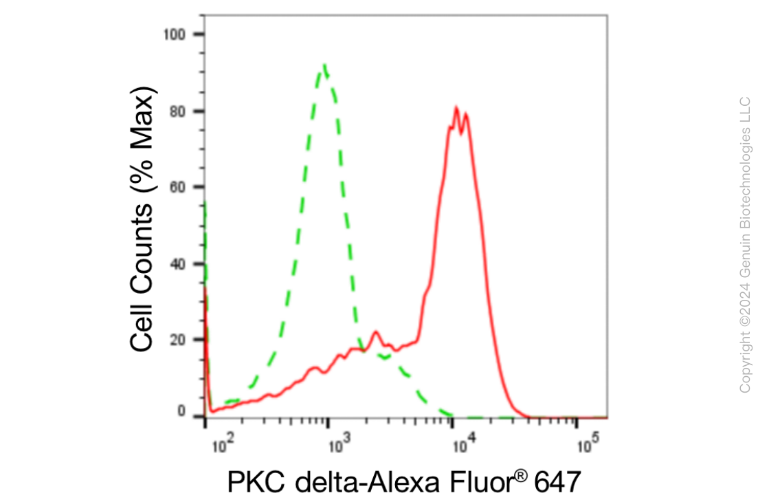 KD-Validated Anti-Protein Kinase C Delta Rabbit Monoclonal Antibody ABG1823