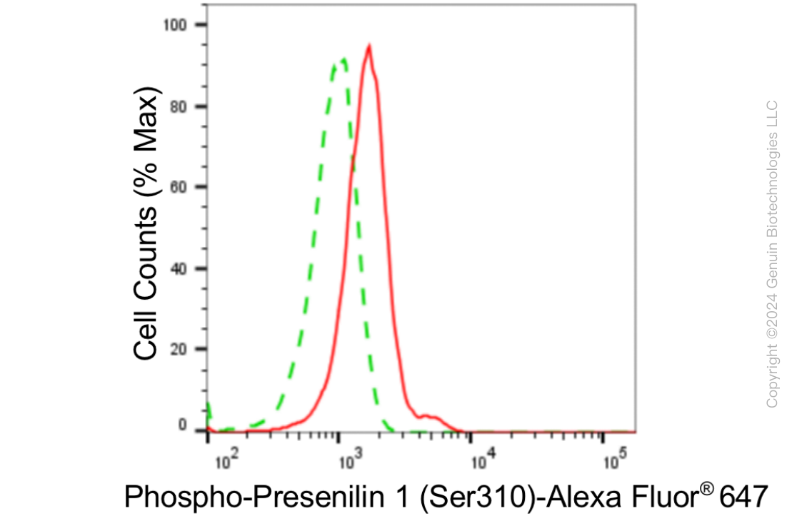 KD-Validated Anti-Phospho-Presenilin 1 (Ser310) Rabbit Monoclonal Antibody ABG1825