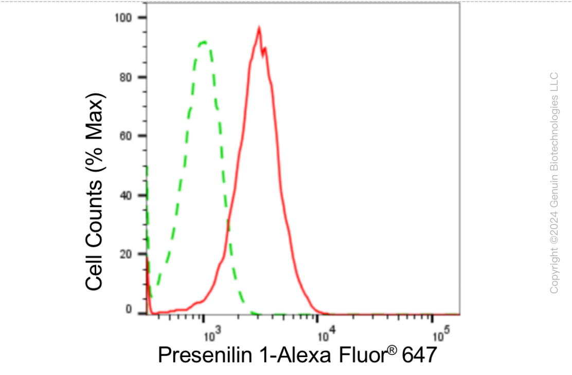 KD-Validated Anti-Presenilin 1 Rabbit Monoclonal Antibody ABG1826