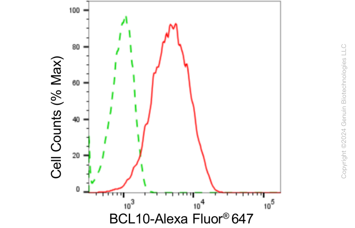 KD-Validated Anti-BCL10 Immune Signaling Adaptor Rabbit Monoclonal Antibody ABG1831