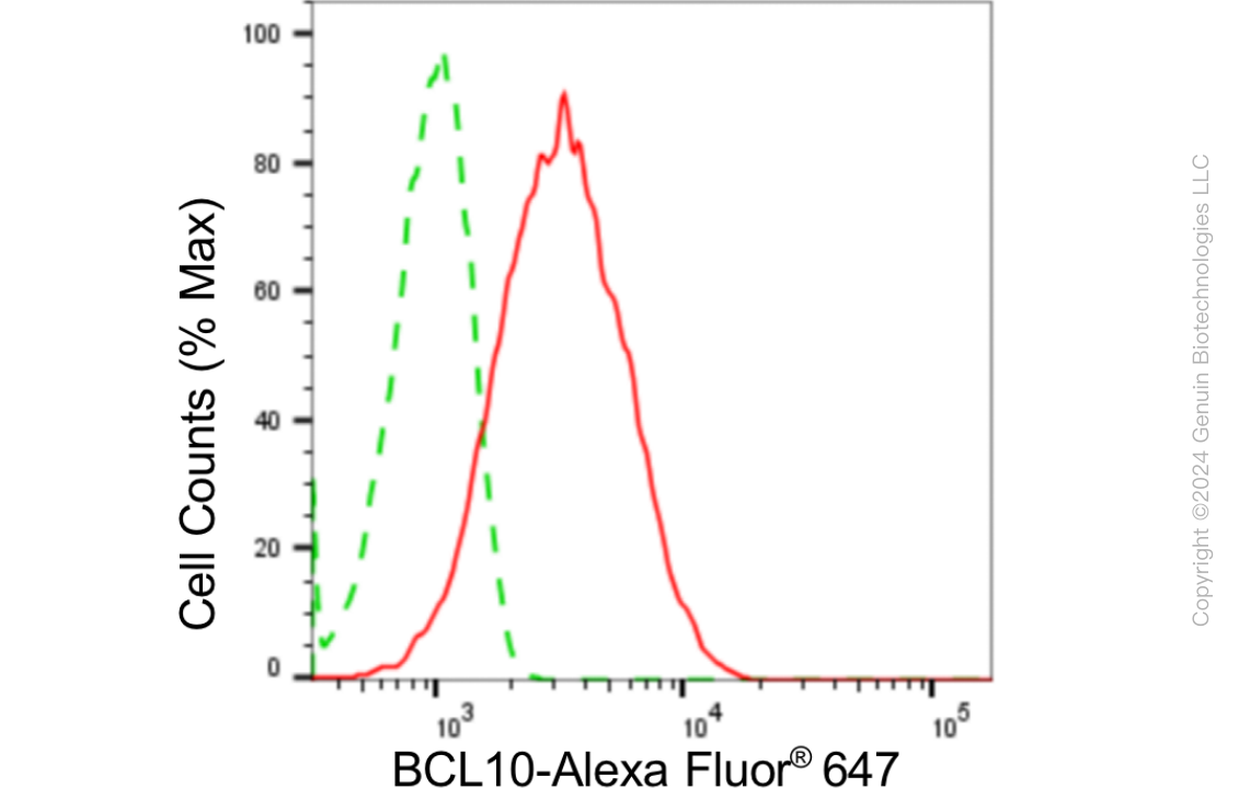 KD-Validated Anti-BCL10 Immune Signaling Adaptor Rabbit Monoclonal Antibody ABG1832