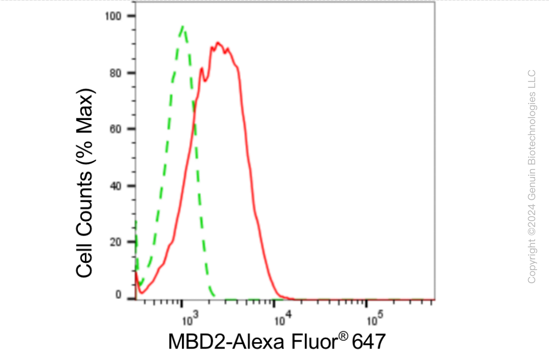 KD-Validated Anti-Methyl-CpG Binding Domain Protein 2 Rabbit Monoclonal Antibody ABG1833