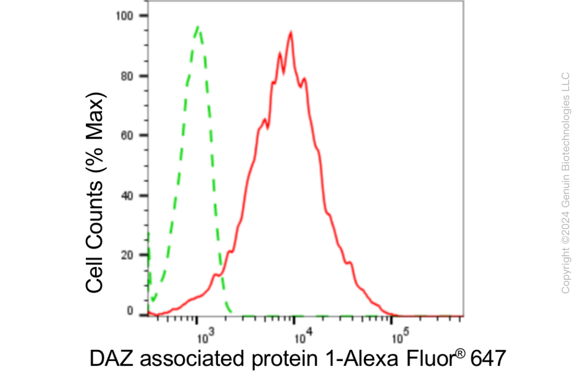 KD-Validated Anti-DAZ Associated Protein 1 Rabbit Monoclonal Antibody ABG1837