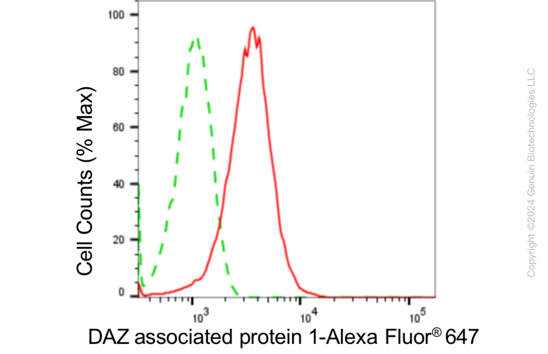 KD-Validated Anti-DAZ Associated Protein 1 Rabbit Monoclonal Antibody ABG1838