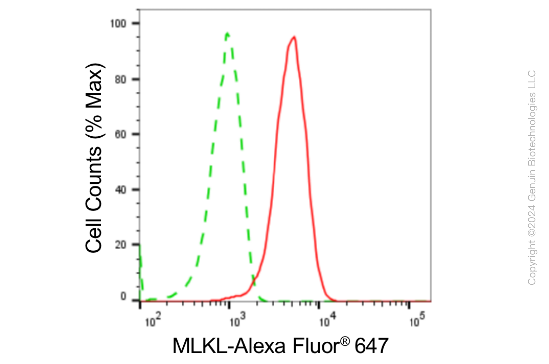 KD-Validated Anti-MLKL Rabbit Monoclonal Antibody ABG1839