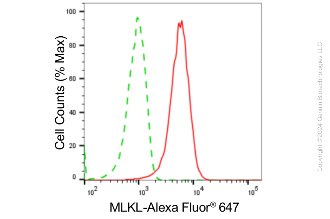 KD-Validated Anti-MLKL Rabbit Monoclonal Antibody ABG1840