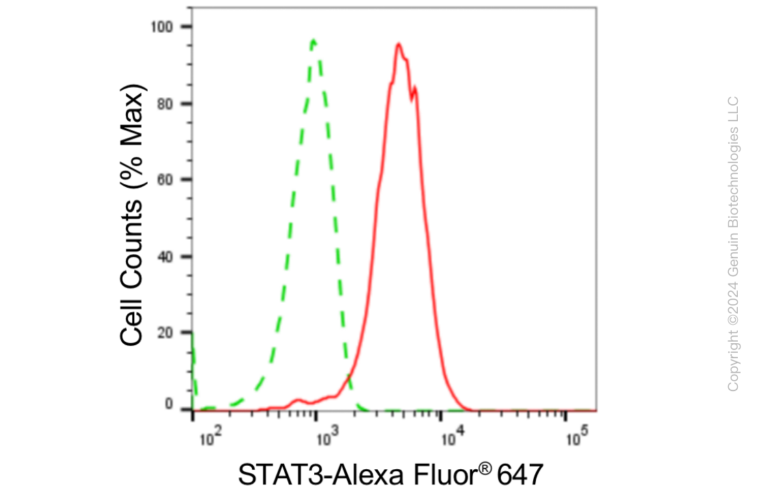 KD-Validated Anti-STAT3 Rabbit Monoclonal Antibody ABG1841