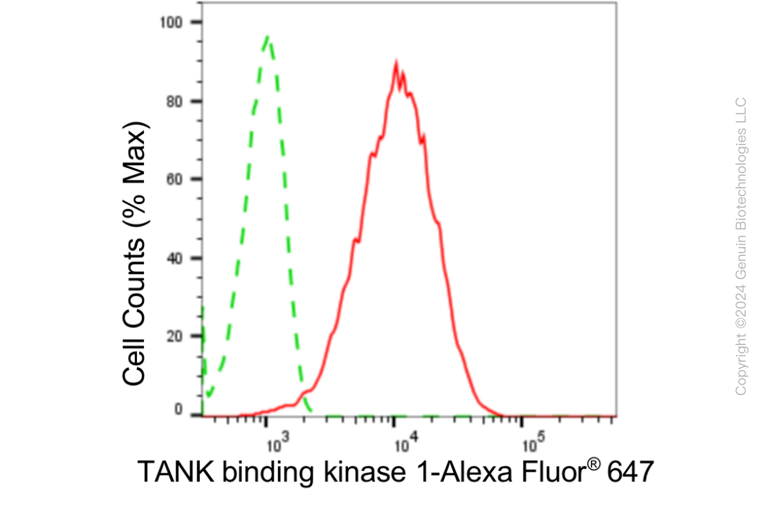 KD-Validated Anti-TANK Binding Kinase 1 Rabbit Monoclonal Antibody ABG1843