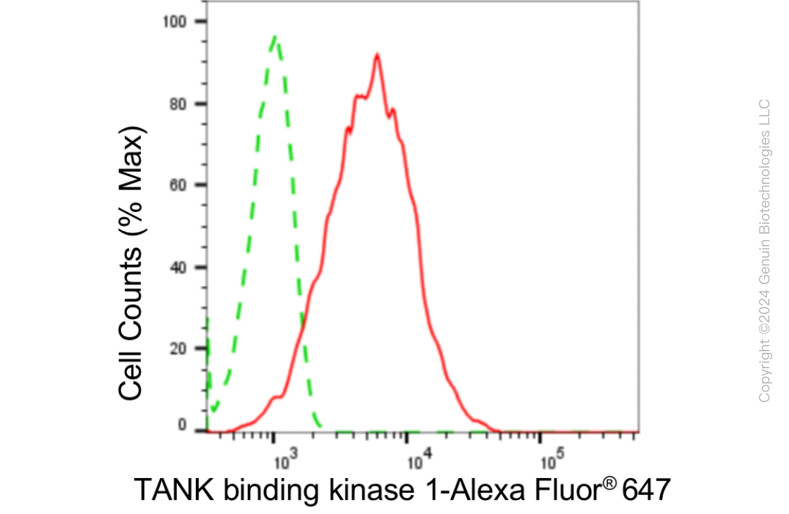 KD-Validated Anti-TANK Binding Kinase 1 Rabbit Monoclonal Antibody ABG1844