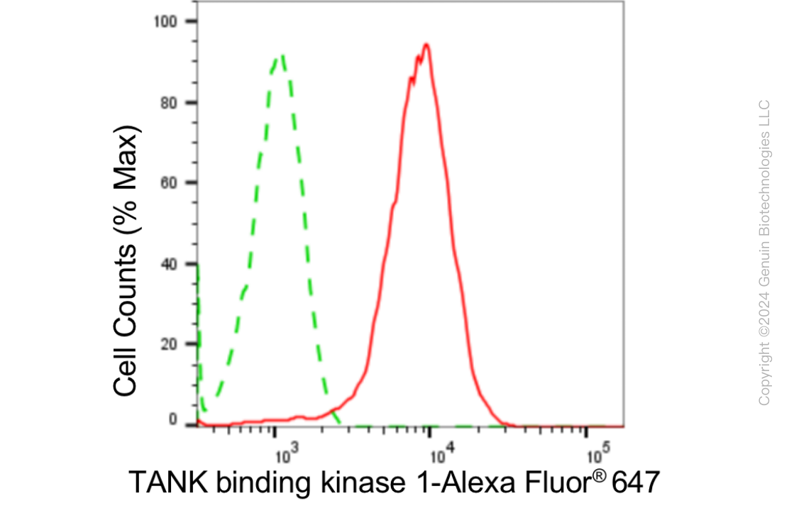 KD-Validated Anti-TANK Binding Kinase 1 Rabbit Monoclonal Antibody ABG1845