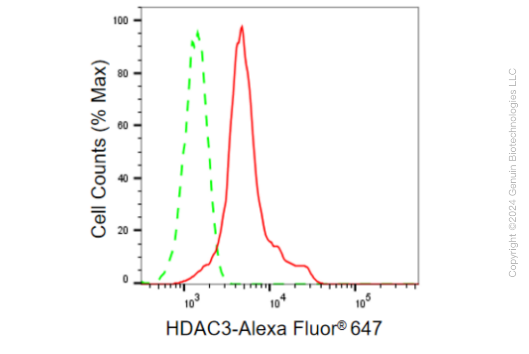 KD-Validated Anti-HDAC3 Rabbit Monoclonal Antibody ABG1847