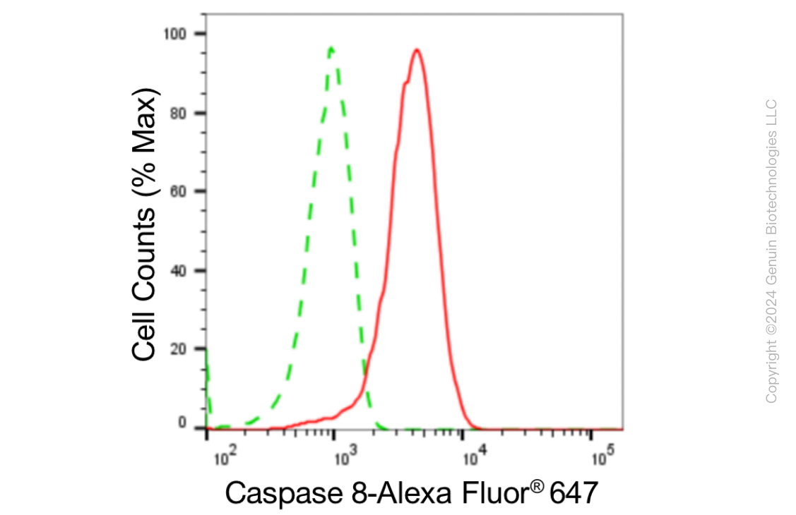 KD-Validated Anti-Caspase 8 Rabbit Monoclonal Antibody ABG1853