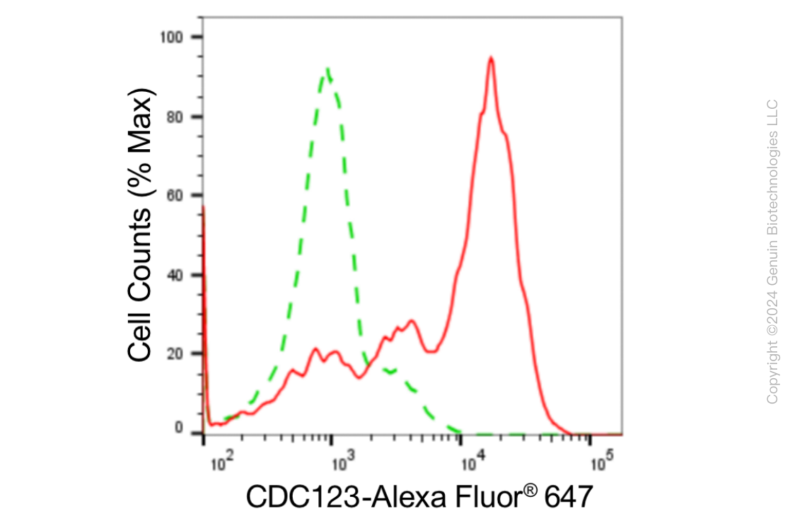 KD-Validated Anti-Cell Division Cycle 123 Rabbit Monoclonal Antibody ABG1856