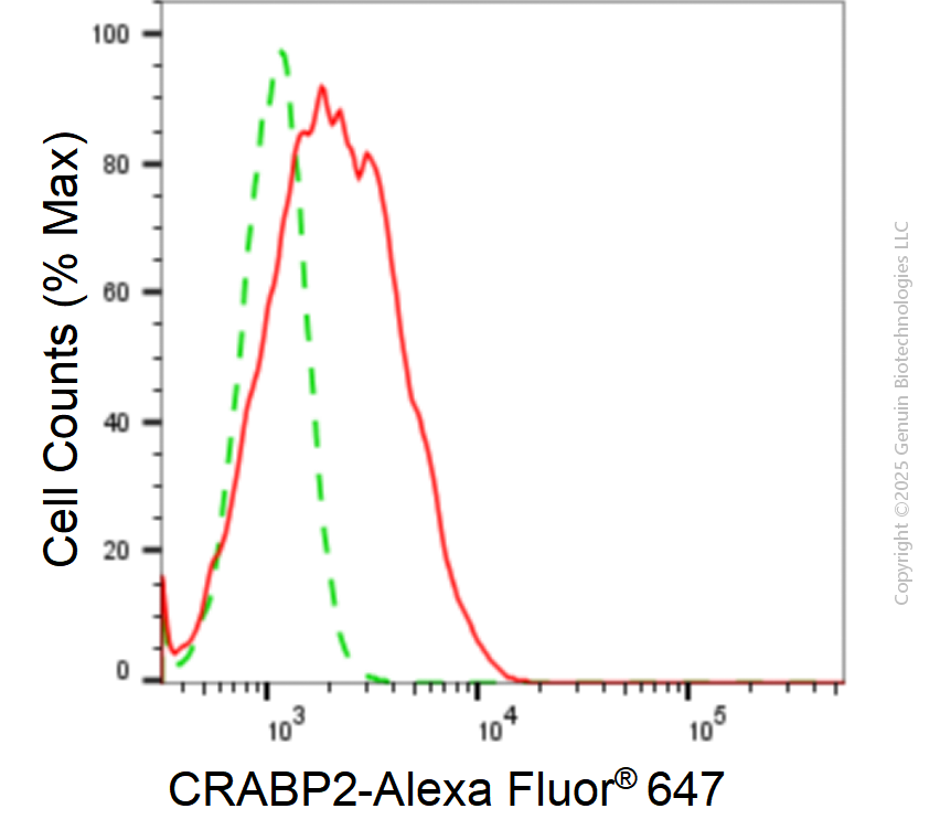 KD-Validated Anti-CRABP2 Rabbit Monoclonal Antibody ABG1859