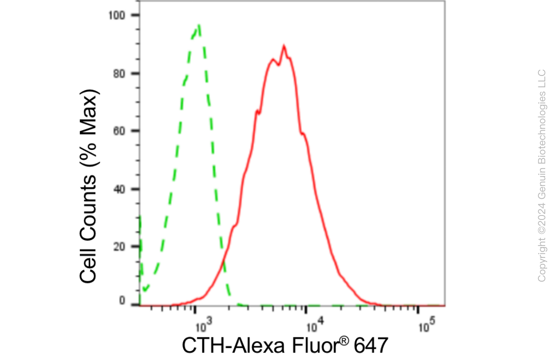 KD-Validated Anti-Cystathionine Gamma-Lyase Rabbit Monoclonal Antibody ABG1860