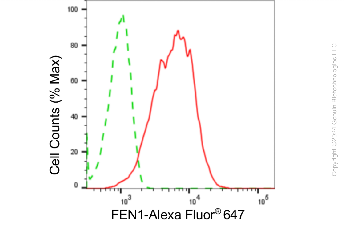 KD-Validated Anti-Flap Structure-Specific Endonuclease 1 Rabbit Monoclonal Antibody ABG1863