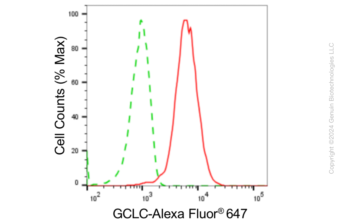 KD-Validated Anti-GCLC Rabbit Monoclonal Antibody ABG1864