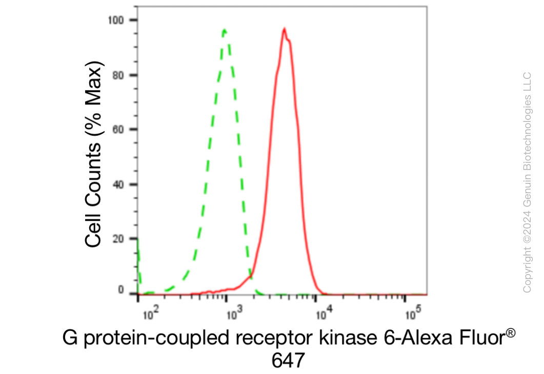 KD-Validated Anti-G Protein-Coupled Receptor Kinase 6 Rabbit Monoclonal Antibody ABG1865