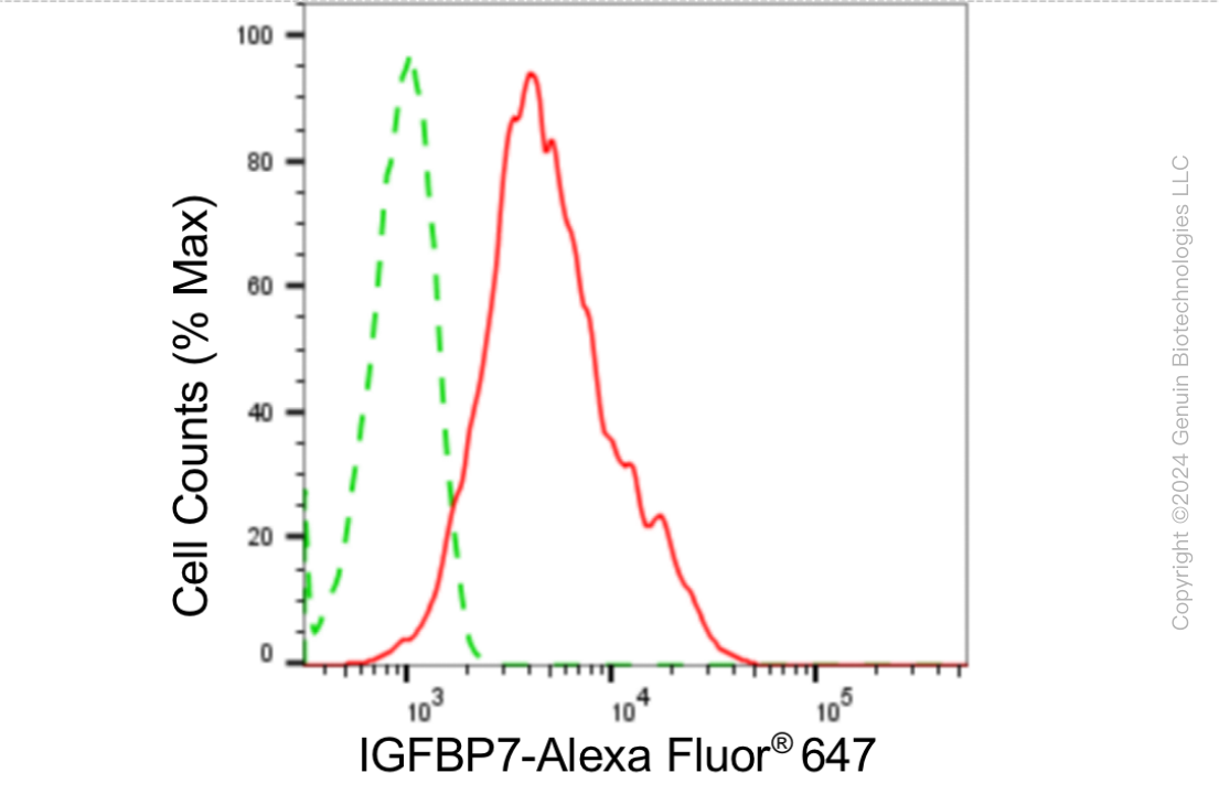 KD-Validated Anti-IGFBP7 Rabbit Monoclonal Antibody ABG1866