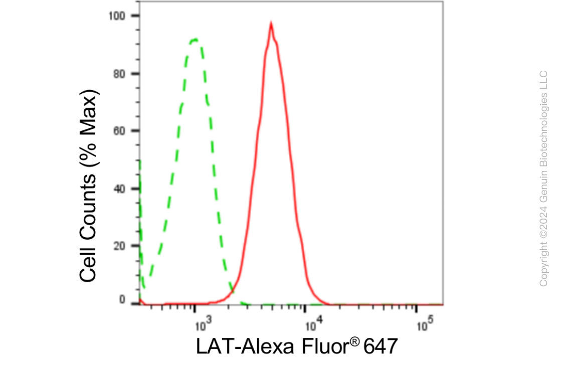 KD-Validated Anti-Linker For Activation Of T Cells Rabbit Monoclonal Antibody ABG1868