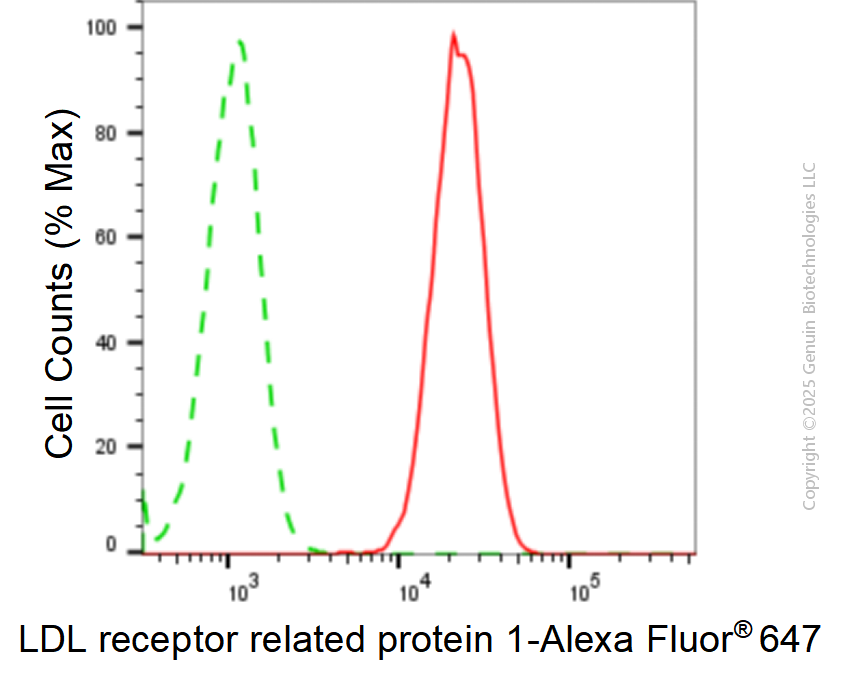 KD-Validated Anti-LDL Receptor Related Protein 1 Rabbit Monoclonal Antibody ABG1869