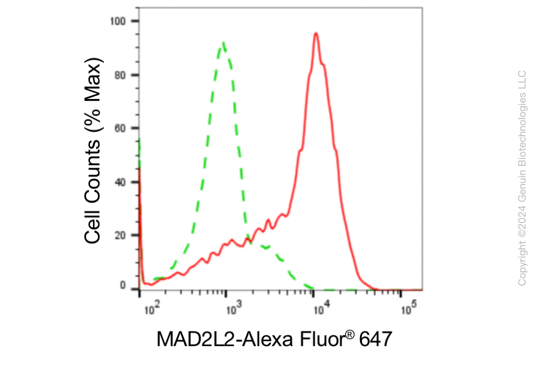 KD-Validated Anti-Mitotic Arrest Deficient 2 Like 2 Rabbit Monoclonal Antibody ABG1870
