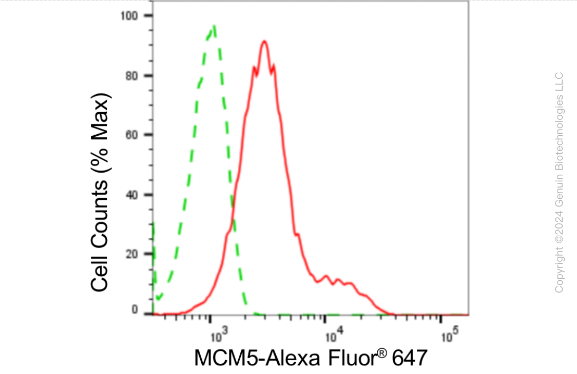 KD-Validated Anti-MCM5 Rabbit Monoclonal Antibody ABG1871
