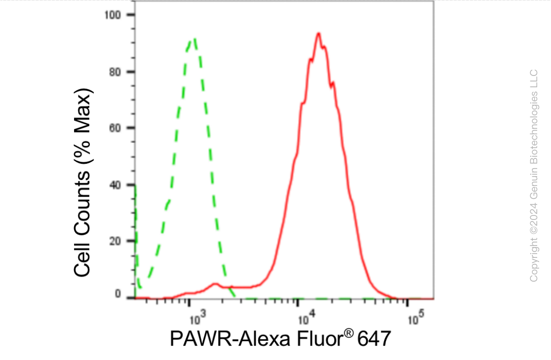 KD-Validated Anti-Pro-Apoptotic WT1 Regulator Rabbit Monoclonal Antibody ABG1874