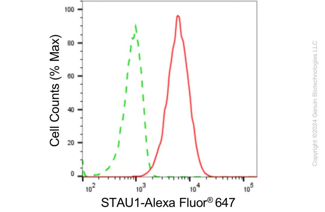KD-Validated Anti-STAU1 Rabbit Monoclonal Antibody ABG1880