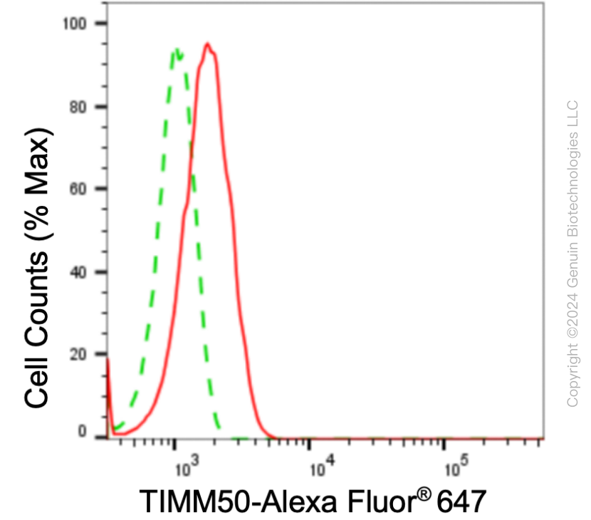 KD-Validated Anti-TIMM50 Rabbit Monoclonal Antibody ABG1881